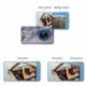 2 Dashcam Full HD 1080P avec caméra arrière vision de nuit pour voiture