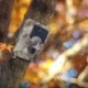 Caméra de Chasse Full HD 1080P vision à infrarouge